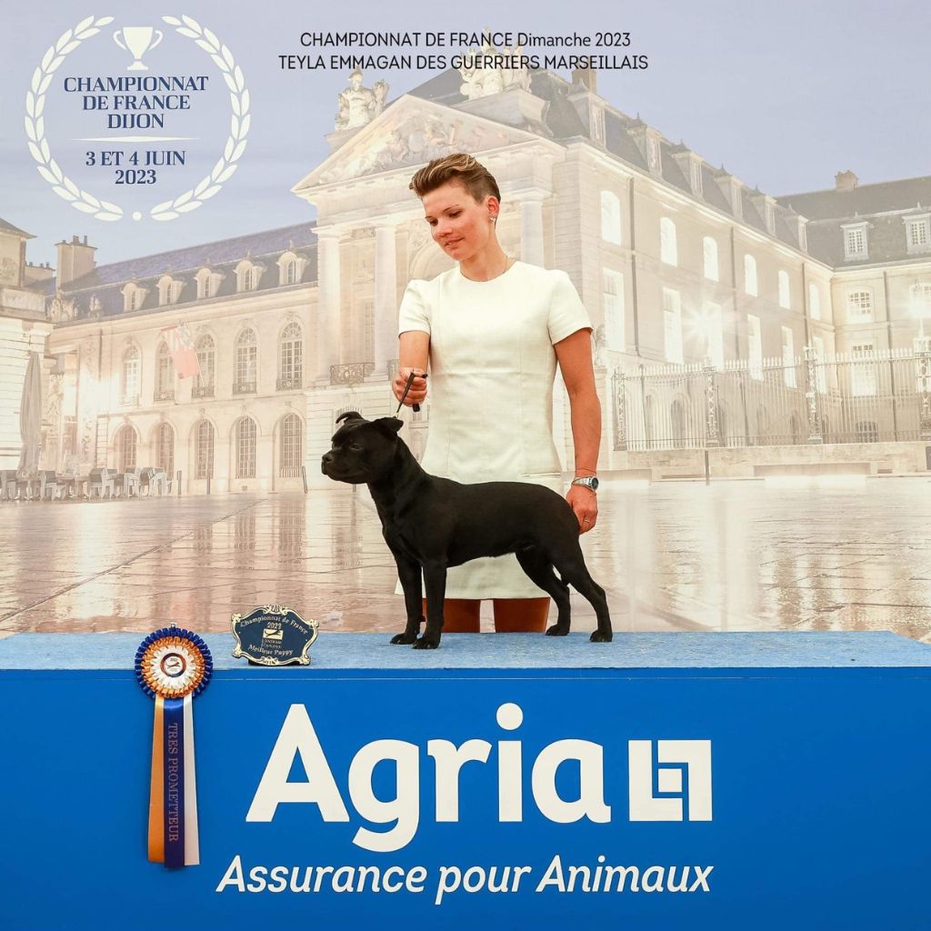 Teyla emmagan Des Guerriers Marseillais