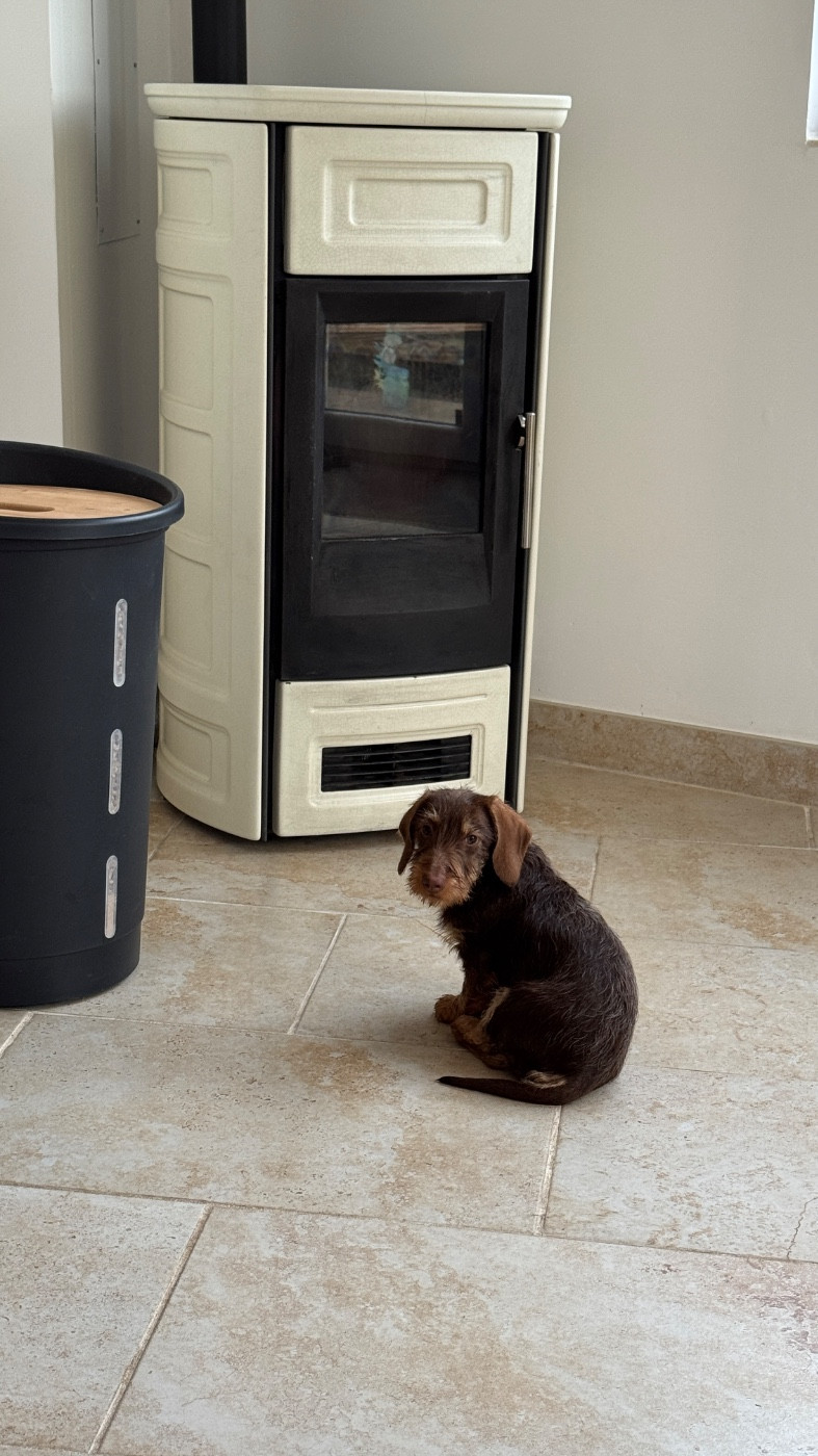 Alaska de l’antre des jacks